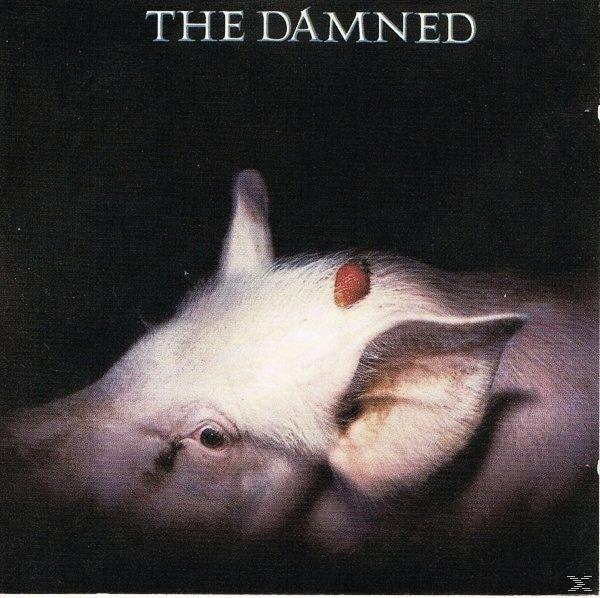- (CD) Strawberries The Damned -