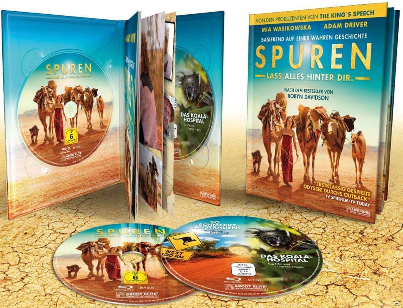 DVD-Set 'Spuren' mit Kamelen auf dem Cover.