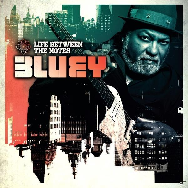 Bluey - Life Between The Notes  - (CD)