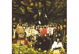 Devendra Banhart - Cripple Crow  - (Vinyl)