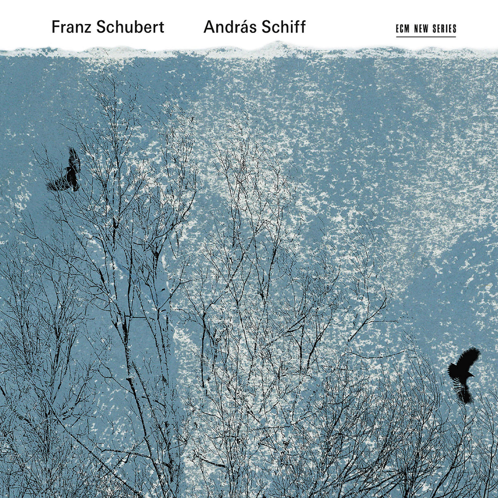 Kunstwerk einer winterlichen Szene mit kahlen Bäumen und schwarzen Vögeln.