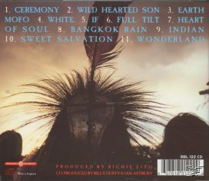 Album-Rückseite mit Feder und Text. Text: Produced by Richie Zito. Albumtracks aufgelistet.