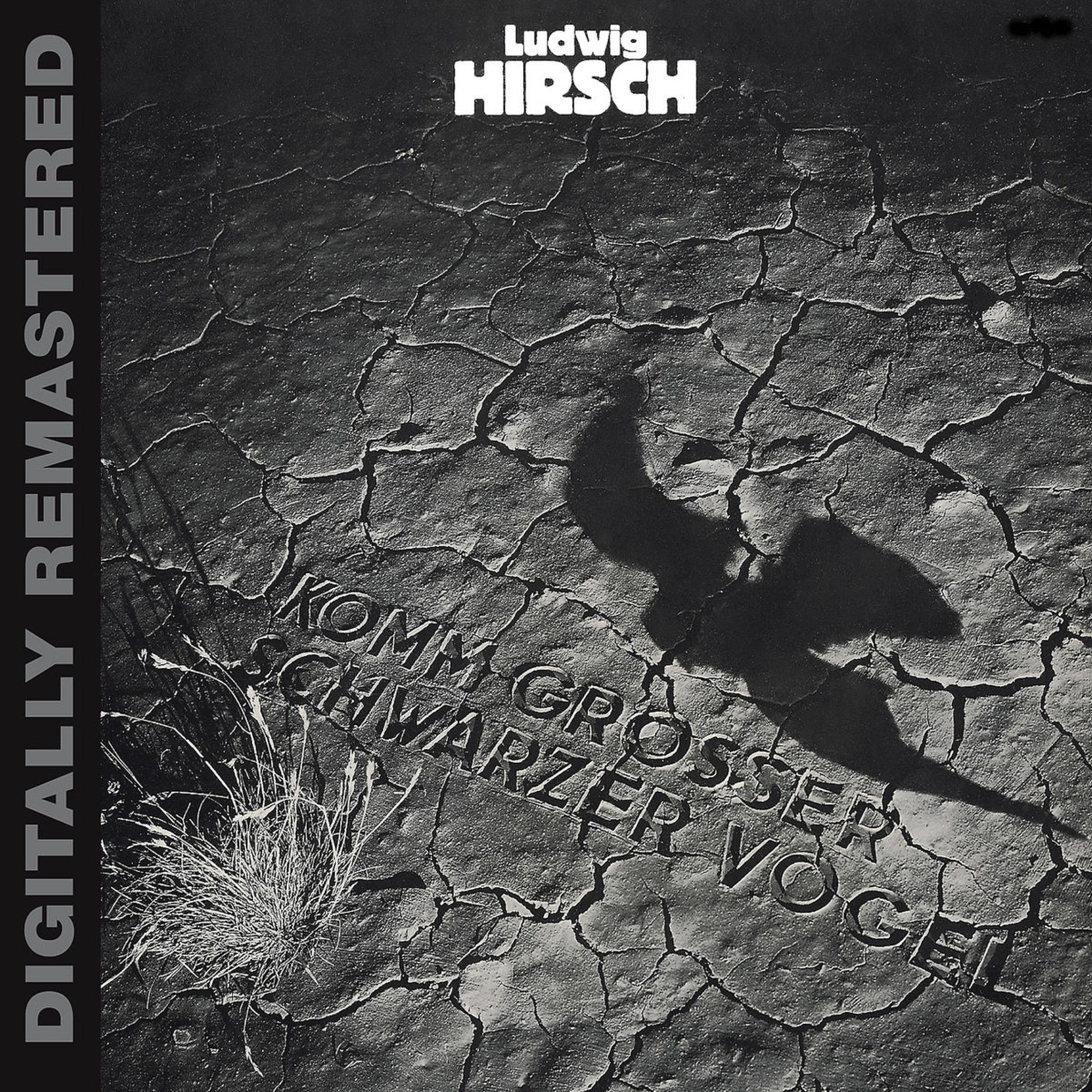 Albumcover mit rissiger Erde und Vogelschatten.