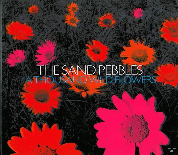 Flowers Sand Pebbles Wild Thousand (CD) The A - -