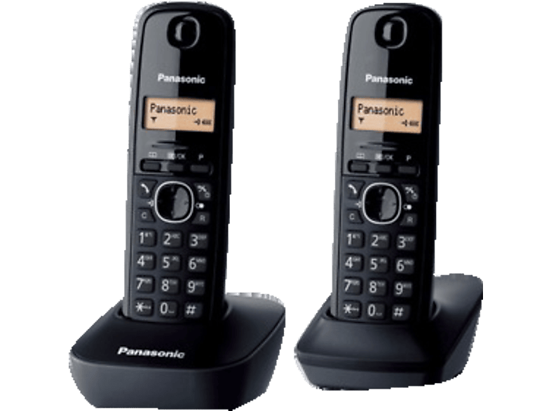 PANASONIC Draadloze telefoon KX-TG1612BLH Duo
