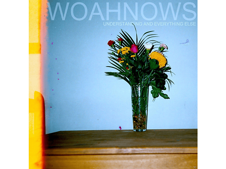 Woahnows - Understanding And E - Everything (CD)