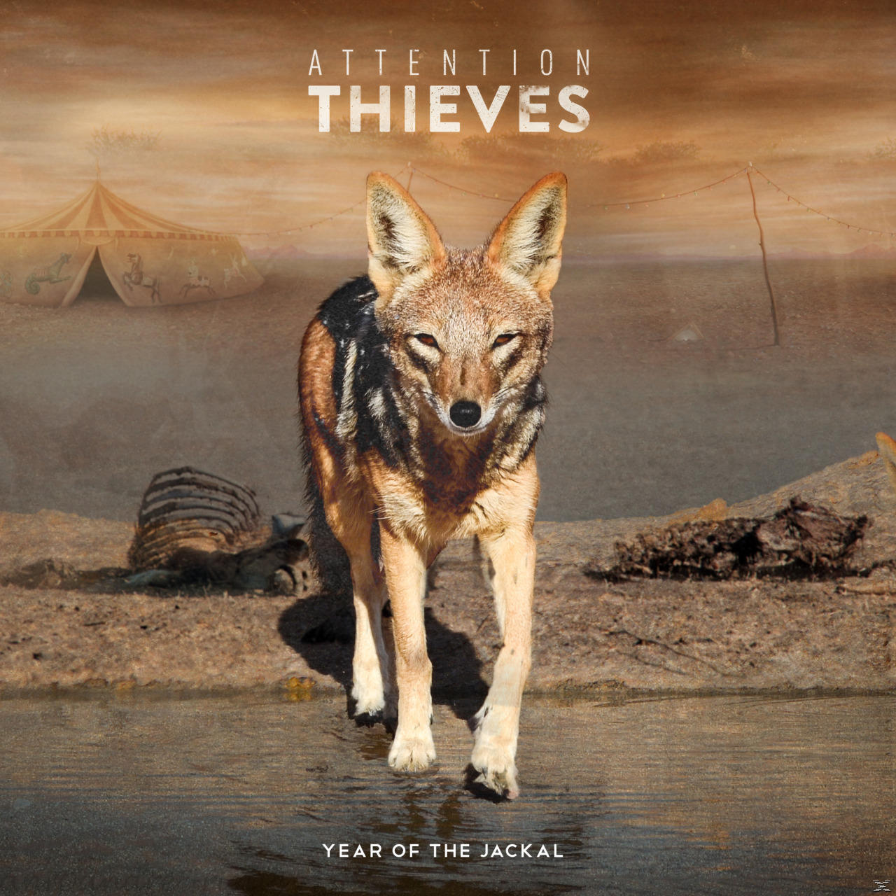 Attention Thieves - - Of Year Jackal (CD) The The