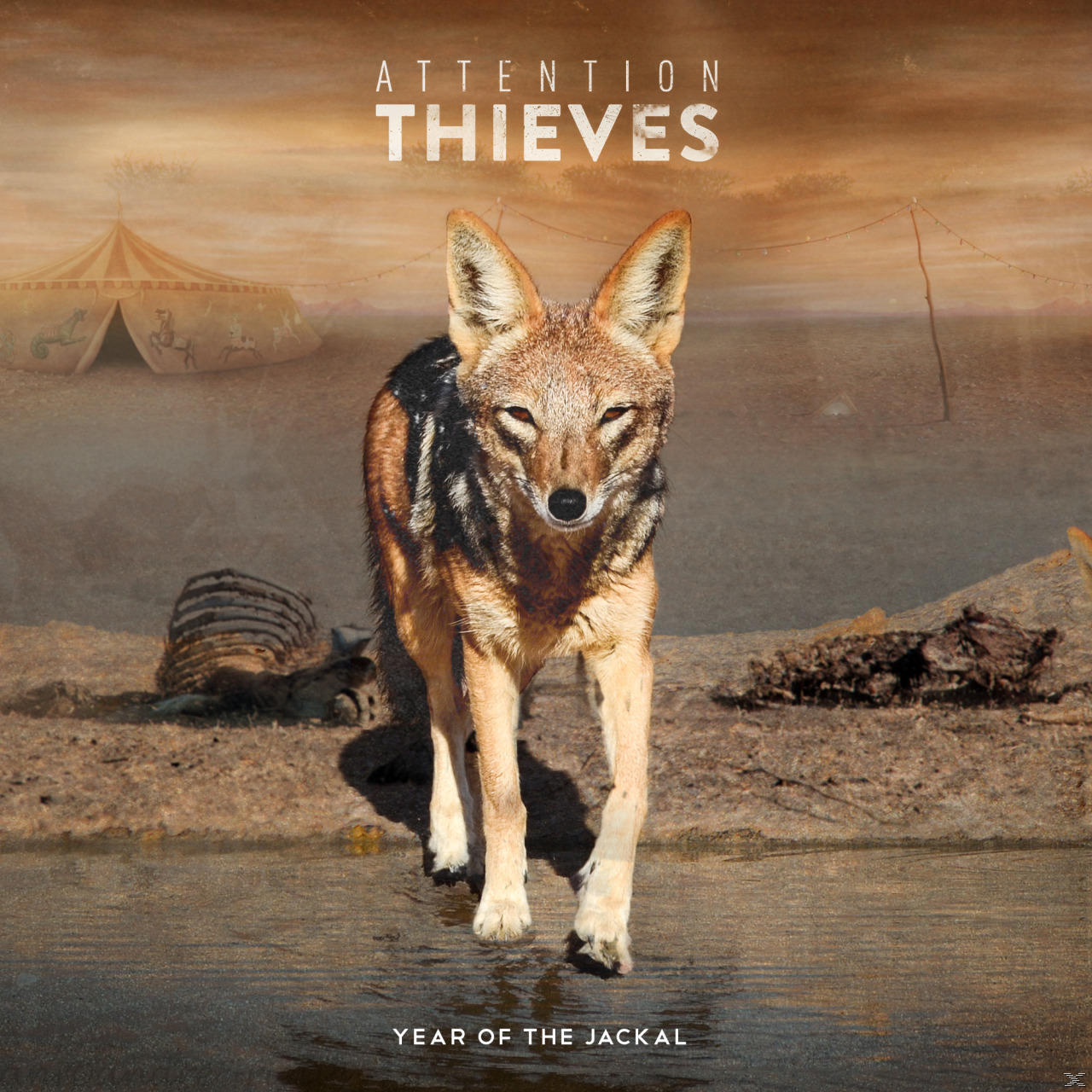 Attention Thieves - The Year Of The Jackal  - (CD)