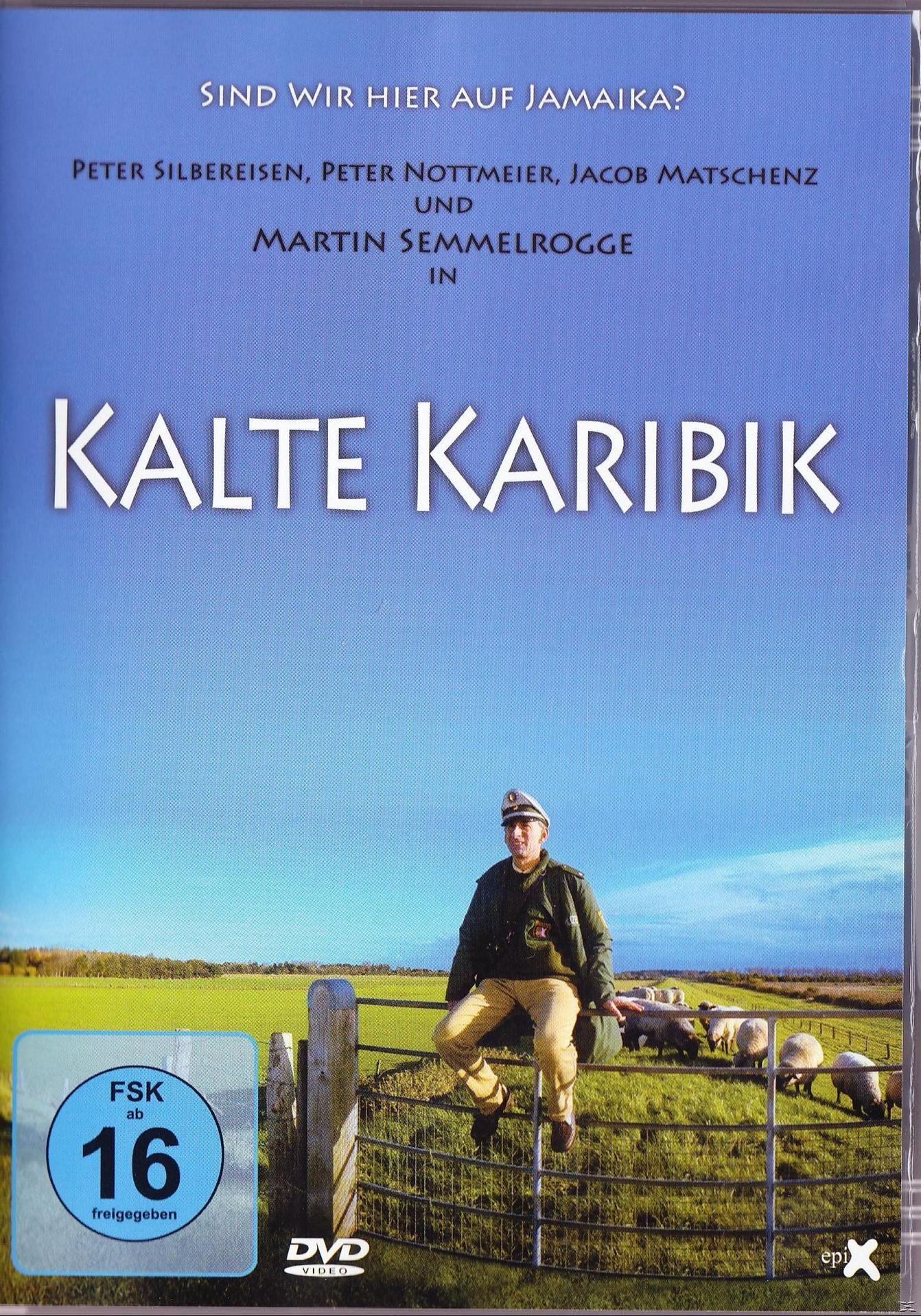 DVD-Cover mit einem Mann auf einem Zaun, einem Feld, blauem Himmel und deutschem Text.