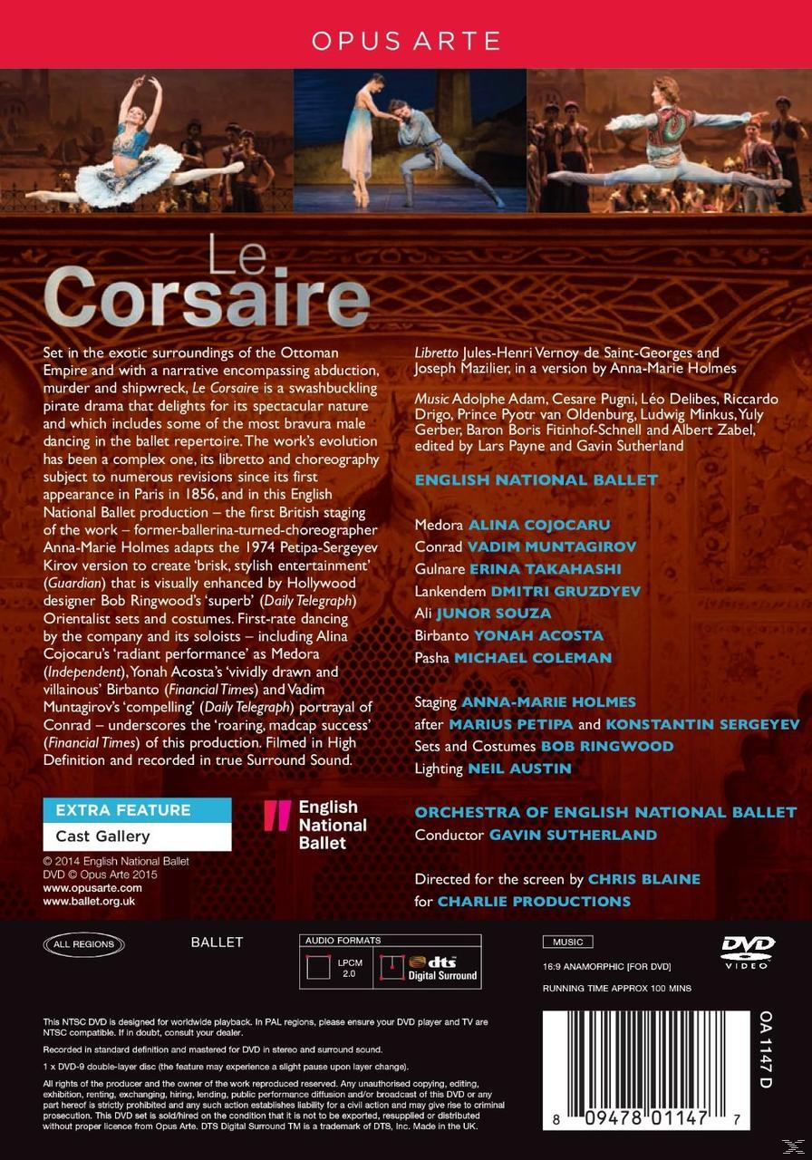Le Corsaire DVD