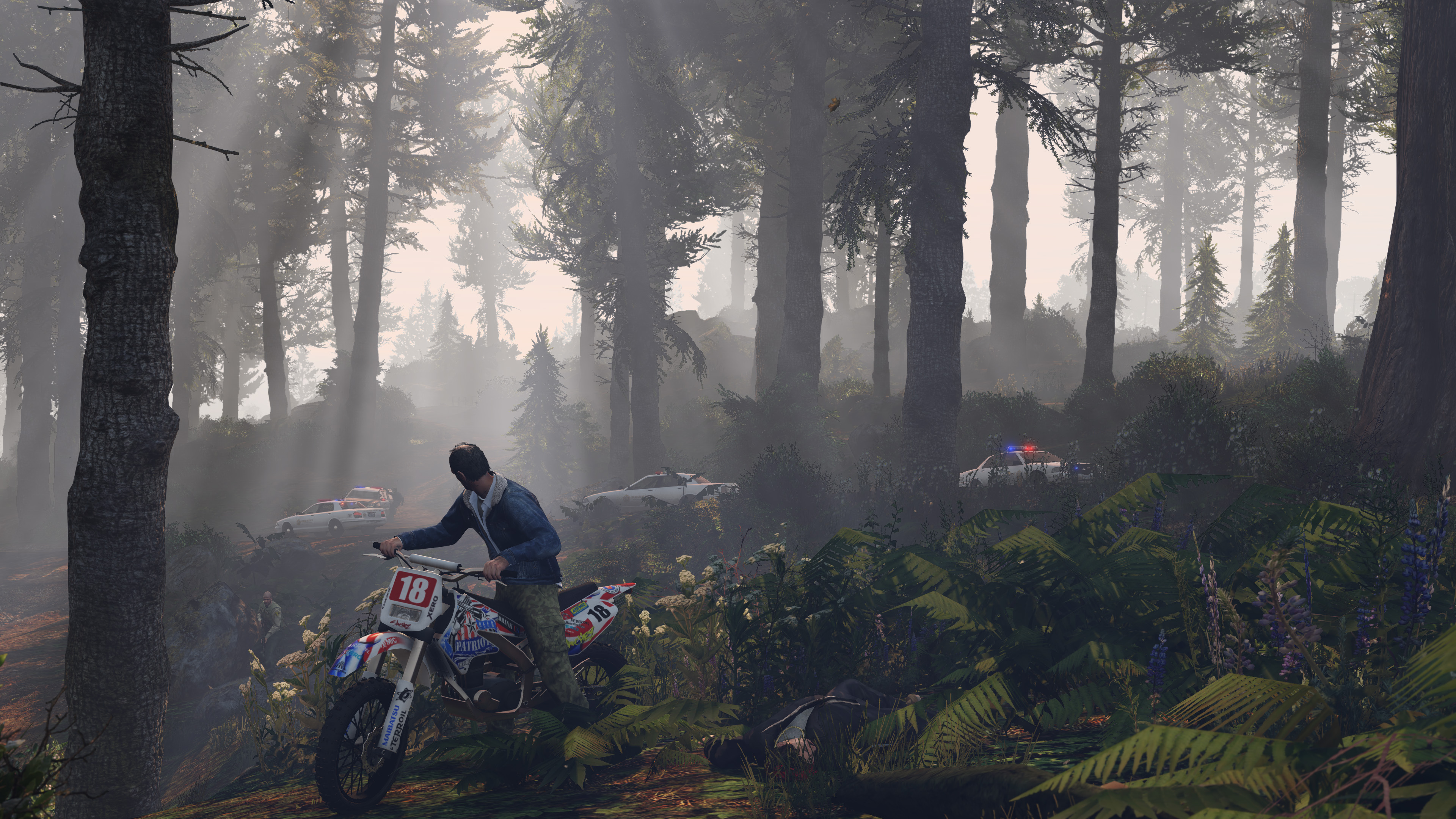 Grand Theft Auto V (PC)