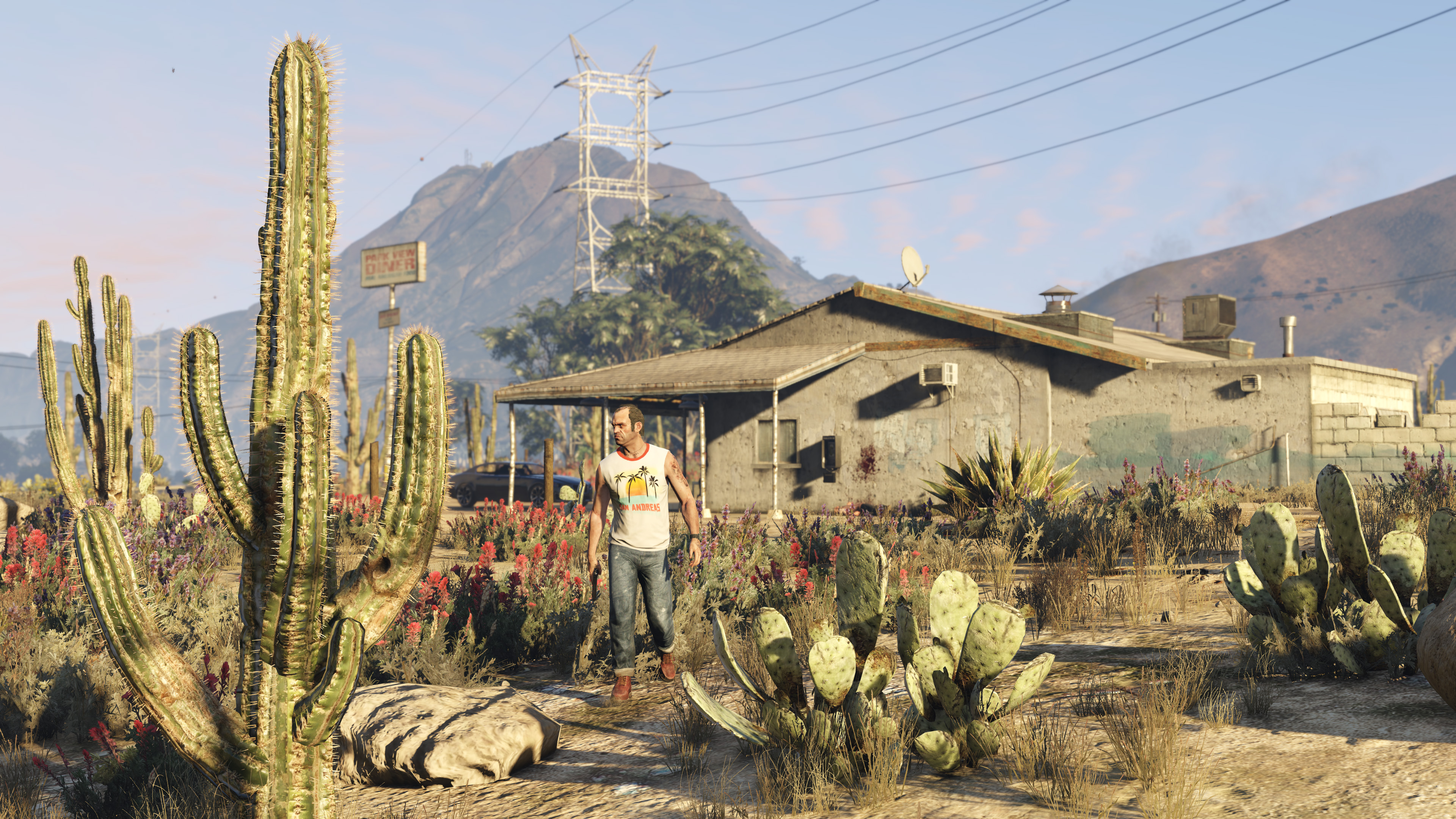 Grand Theft Auto V (PC)