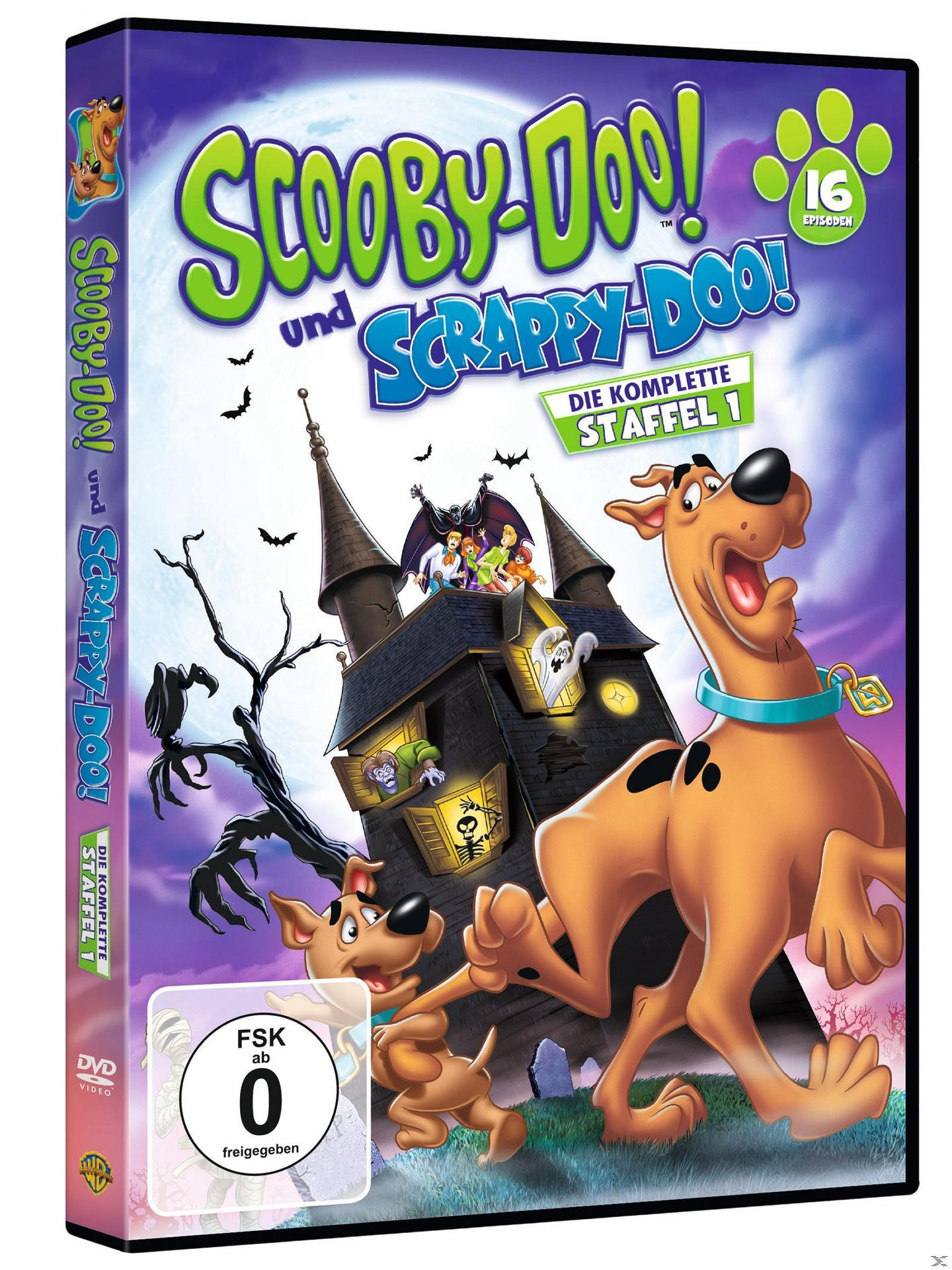 Scooby-Doo DVD-Hülle. Scooby-Doo und Shaggy stehen vor einem Spukhaus. Dunkle Farben und Cartoon-Bilder.