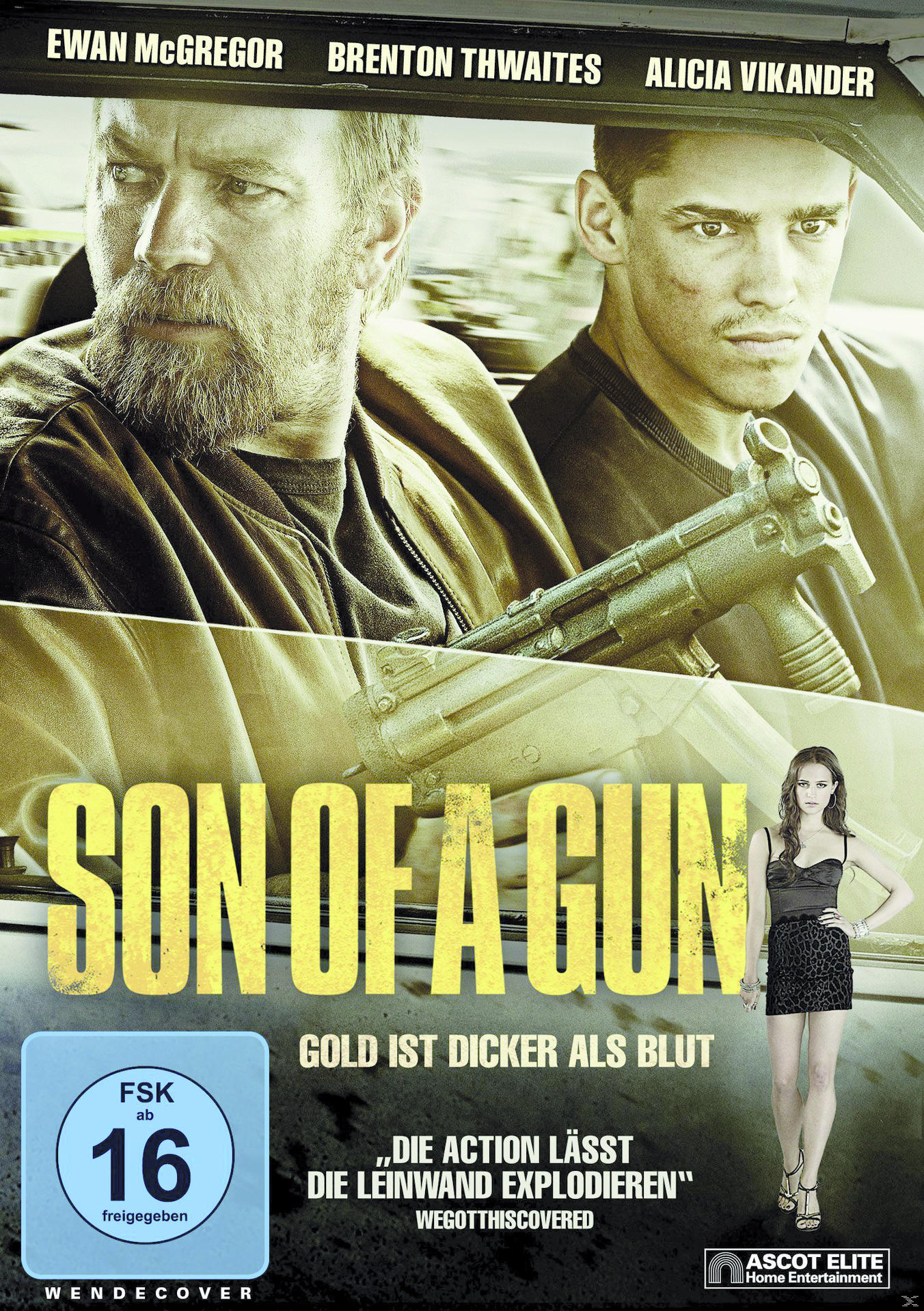 a DVD Son of Gun