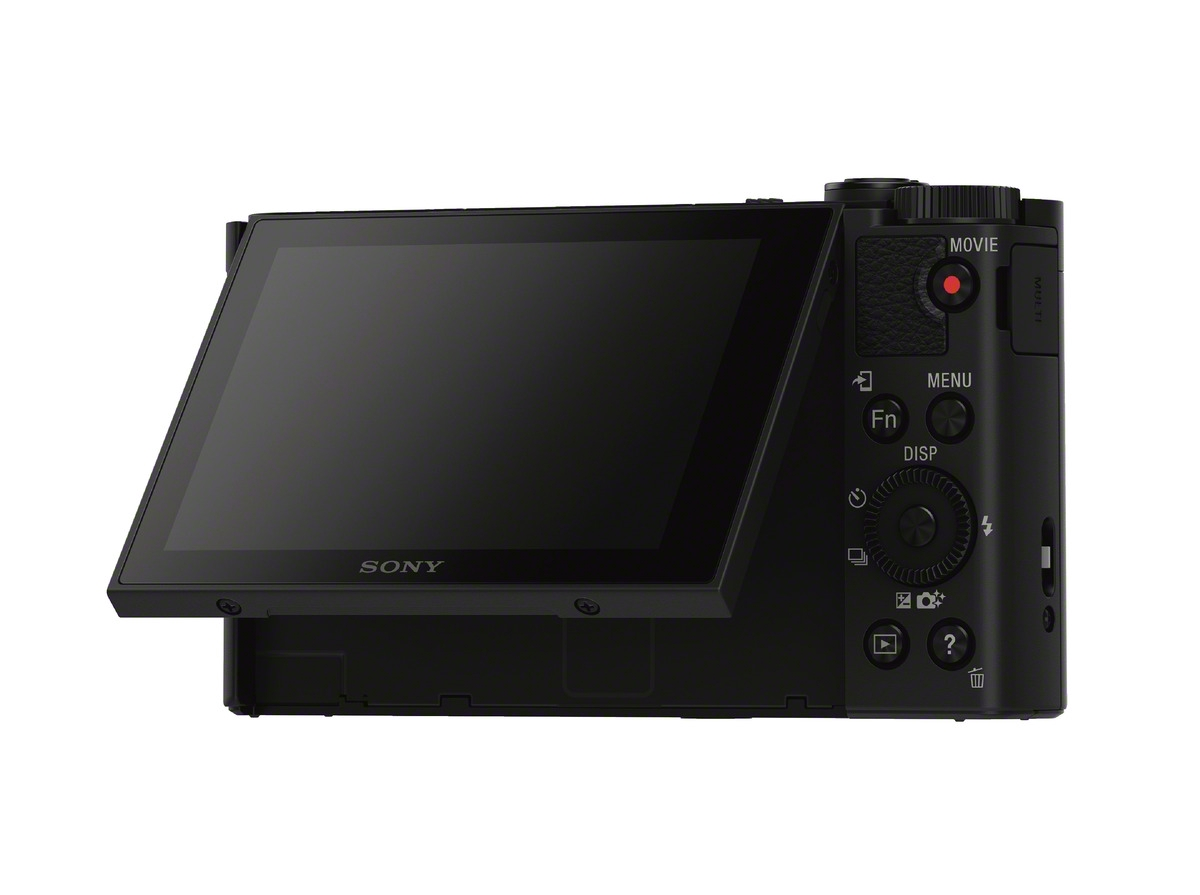 SONY Cyber-shot DSC-WX500 Zeiss NFC Digitalkamera Schwarz, 30x opt. Zoom, TFT-LCD, Xtra Fine, WLAN