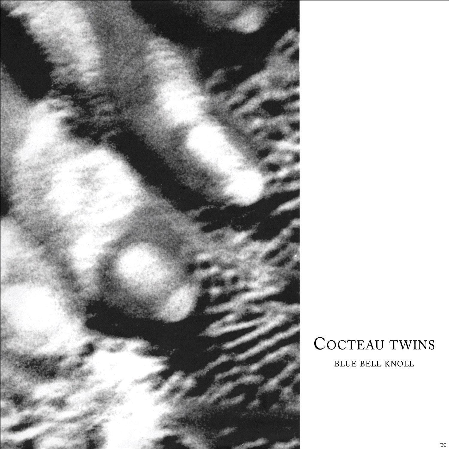 Abstraktes Schwarz-Weiß-Bild, das einer Nahaufnahme einer strukturierten Oberfläche ähnelt. Text: Cocteau Twins, Blue Bell Knoll.