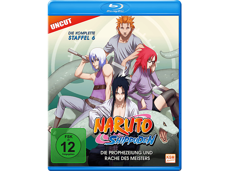 - Staffel (Folge Naruto 6 - Shippuden des Die und Blu-ray 333-363) Meisters Prophezeiung Rache