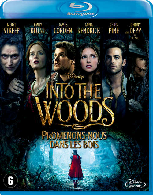 Pochette du film Into the Woods. Acteurs dans une scène de forêt. Petite fille en rouge en bas au centre.