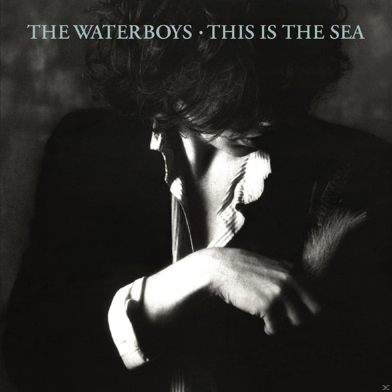 The Waterboys - This Is (Vinyl) Sea The 