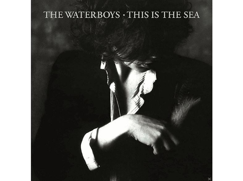 The Waterboys - This Is The Sea  - (Vinyl)