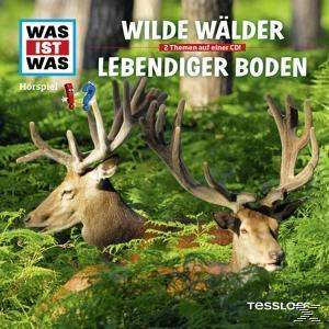 Zwei Hirsche mit Geweih im grünen Laub. Text: 'Wilde Wälder Lebendiger Boden'.