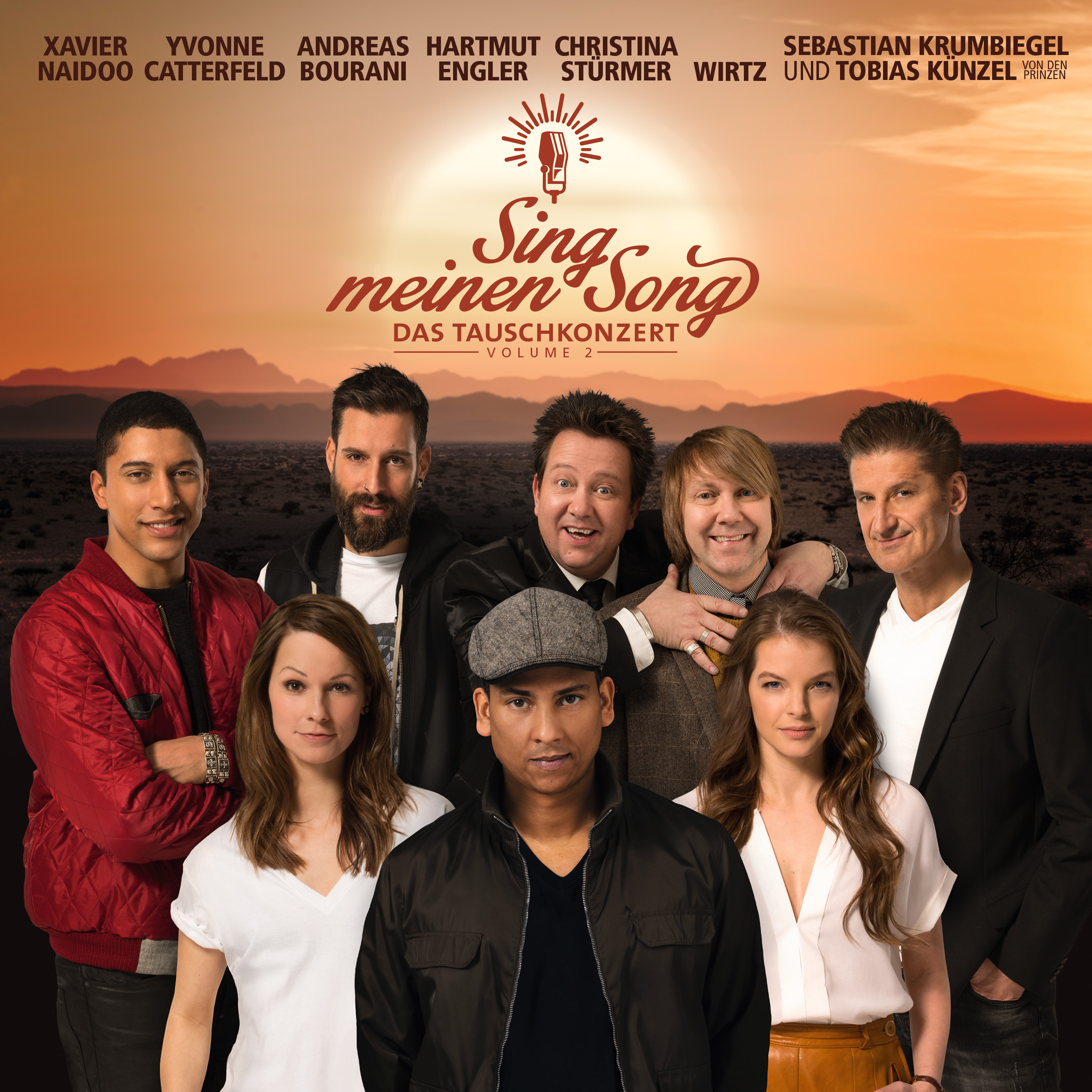 Albumcover mit einer Gruppe von Leuten vor einem Sonnenuntergang. Der Titel ist 'Sing meinen Song'.