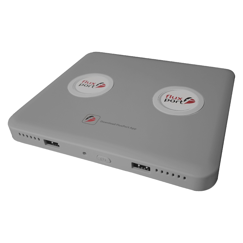 FLUXPORT FP-A-009 Double Ladegerät Universal, Grau