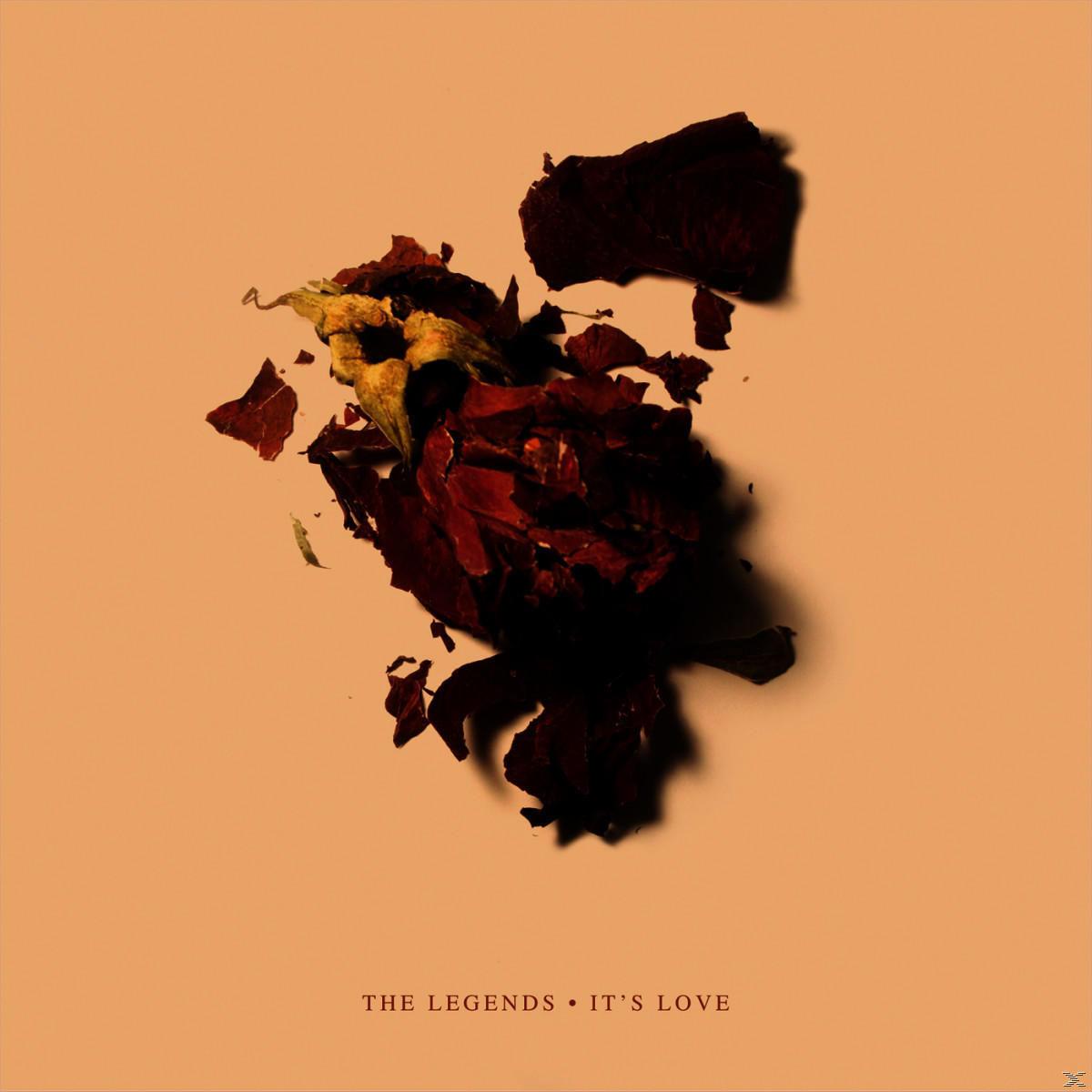 Legends It\'s (Vinyl) Love - - The