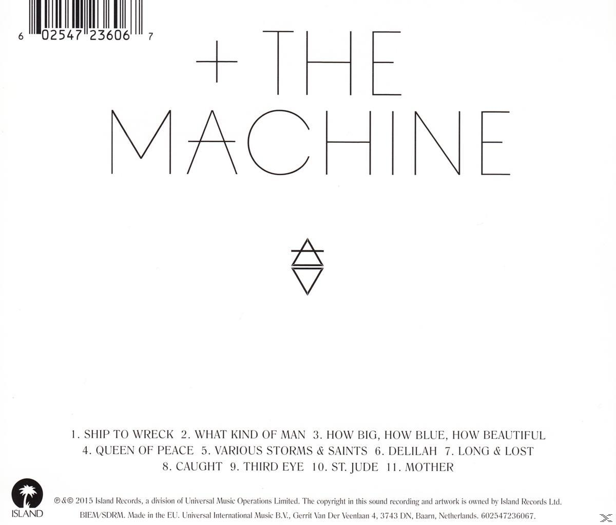Rückseite eines Albums mit Text und Logo, darunter die Titeltitel.