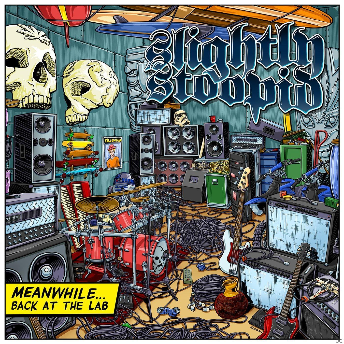 Lab (CD) At Slightly Stoopid Meanwhile...Back The - -