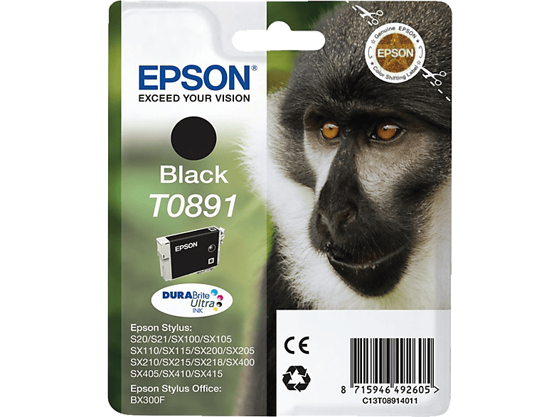 EPSON T0891 Zwart (C13T08914021)