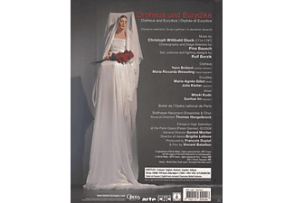 VARIOUS, Balthasar Neumann-chor & Ensemble, Ballet De L'opéra National De Paris - Orpheus Und Eurydike  - (DVD)
