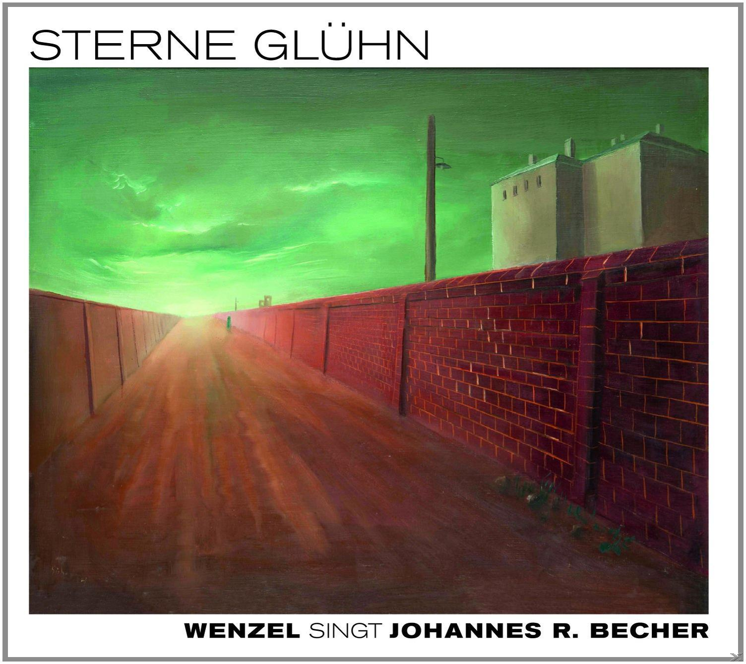 Sterne Glühn Wenzel - (CD) - Hans-eckardt