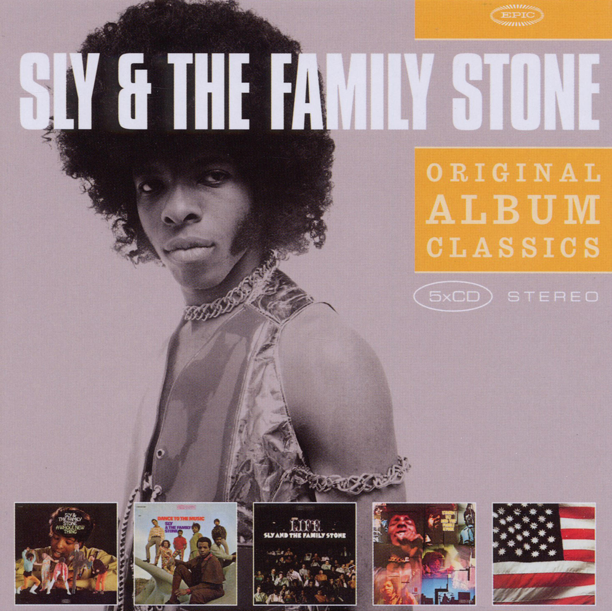 Albumcover zeigt Sly Stone in einer Weste, umgeben von anderen Albumcovern und einer amerikanischen Flagge.