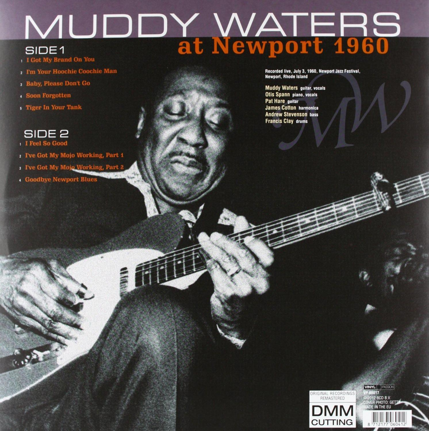 AT Waters NEWPORT 1960 - (Vinyl) Muddy -
