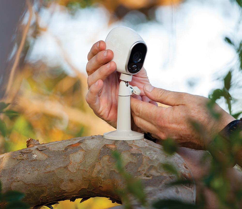 Hände montieren eine weiße Überwachungskamera an einem Ast, mit grünen Blättern im Hintergrund.