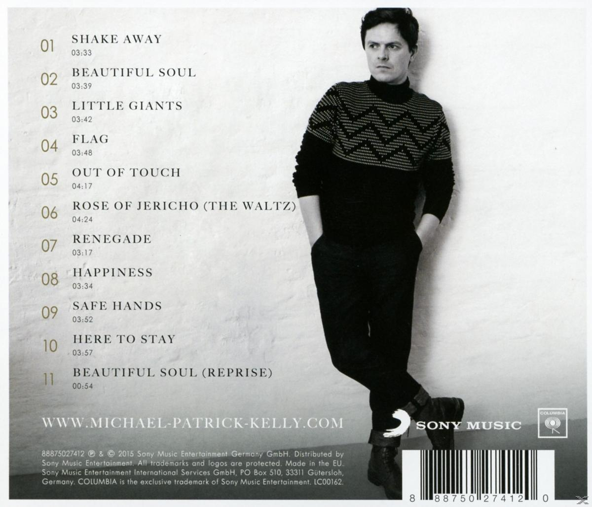 Rückseite eines Albums mit einem posierenden Mann und Songtiteln.
