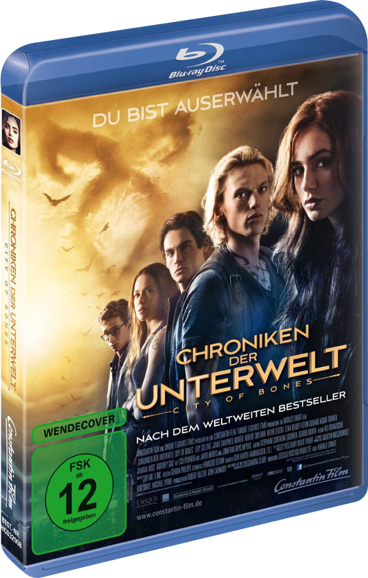 DVD-Cover: 'Chroniken der Unterwelt' mit Schauspielern. Blauer Einband, weißer Text.