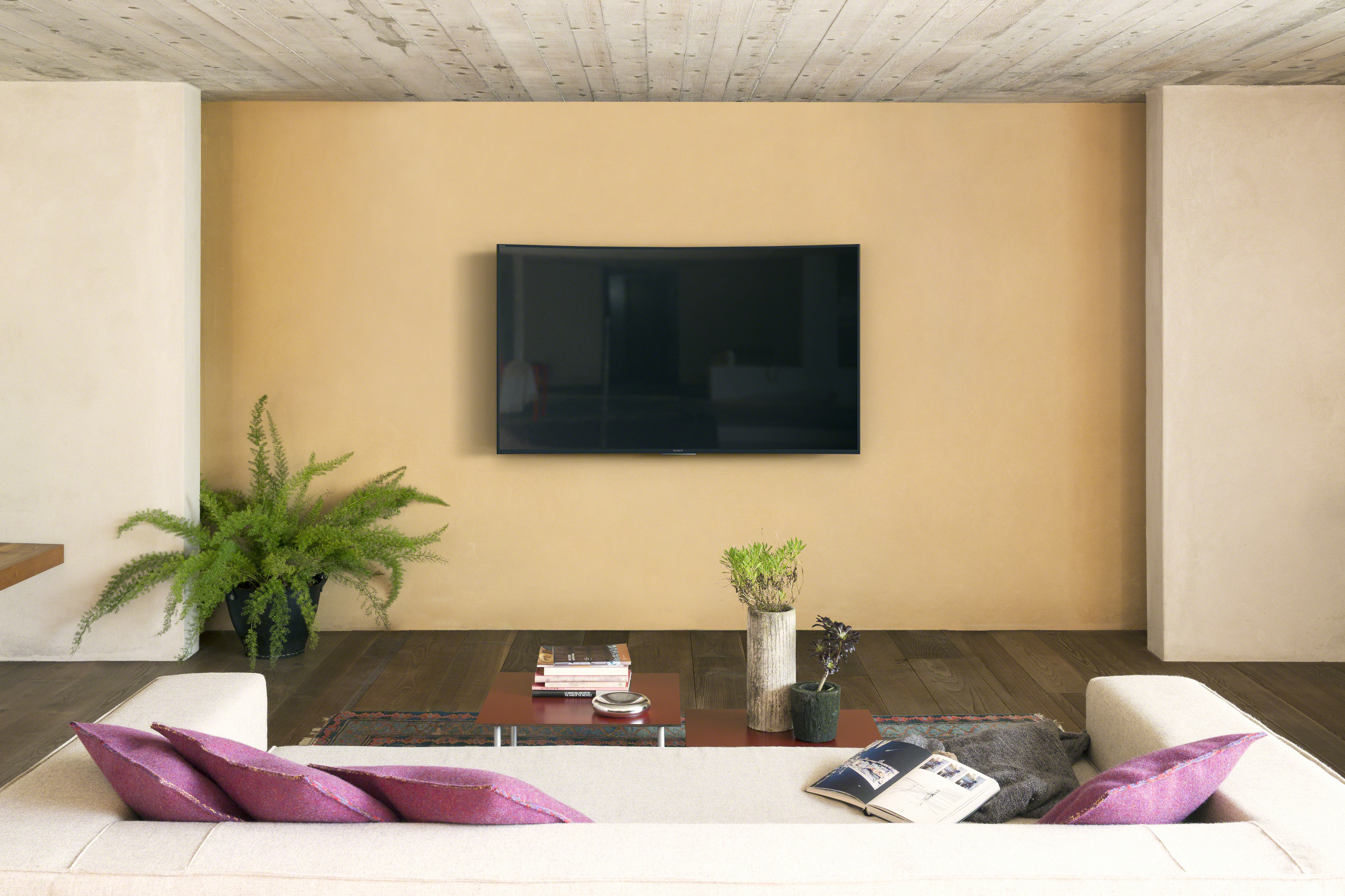 SONY KD-65S8505C