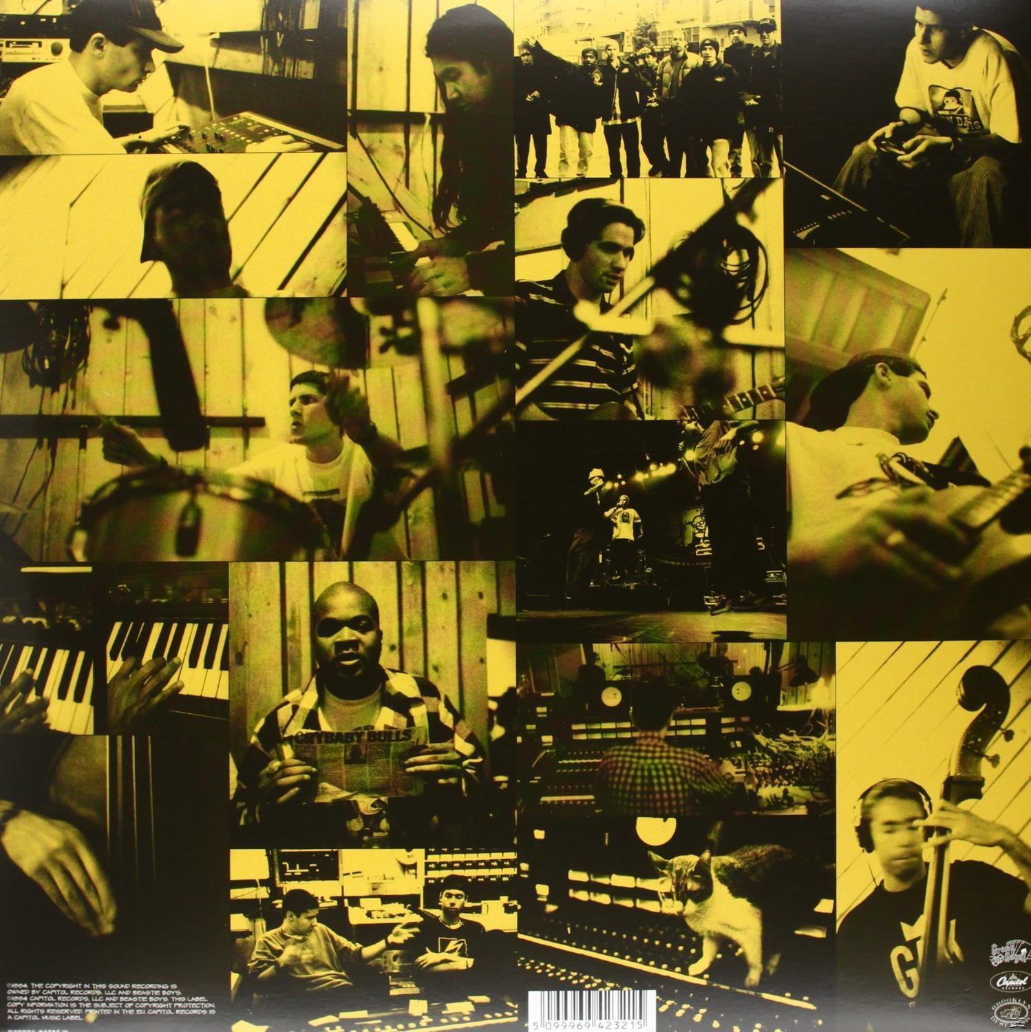 Albumcover: Collage von Bildern von Personen in einem Studio, gelber Hintergrund, Schwarzweißaufnahmen.