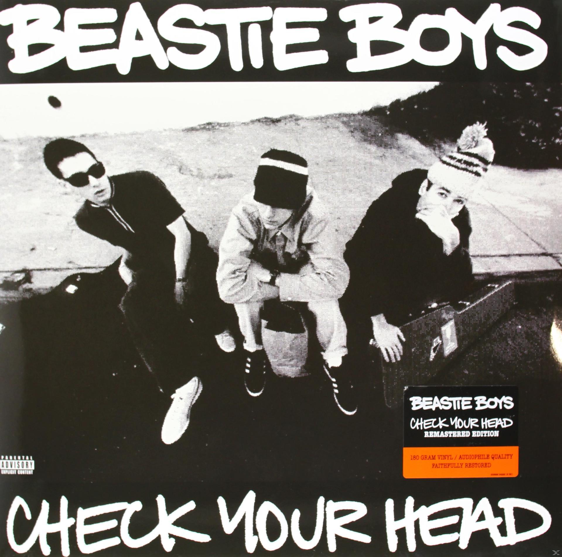 Pochette d'album. Trois hommes sur une photo en noir et blanc. "CHECK YOUR HEAD" en grandes lettres.