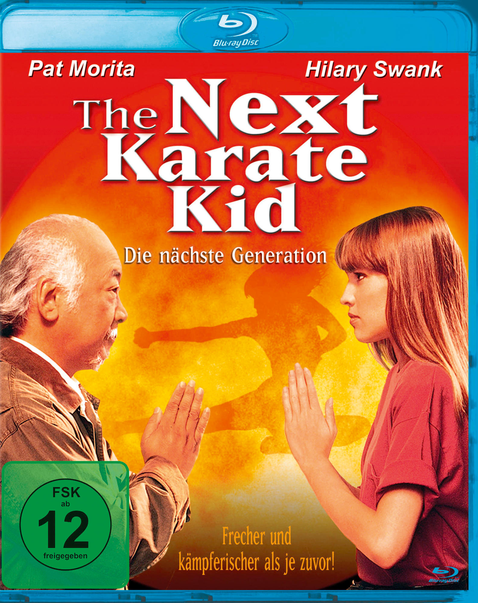 DVD-Cover. Zwei Personen vor buntem Hintergrund. Titel: The Next Karate Kid.