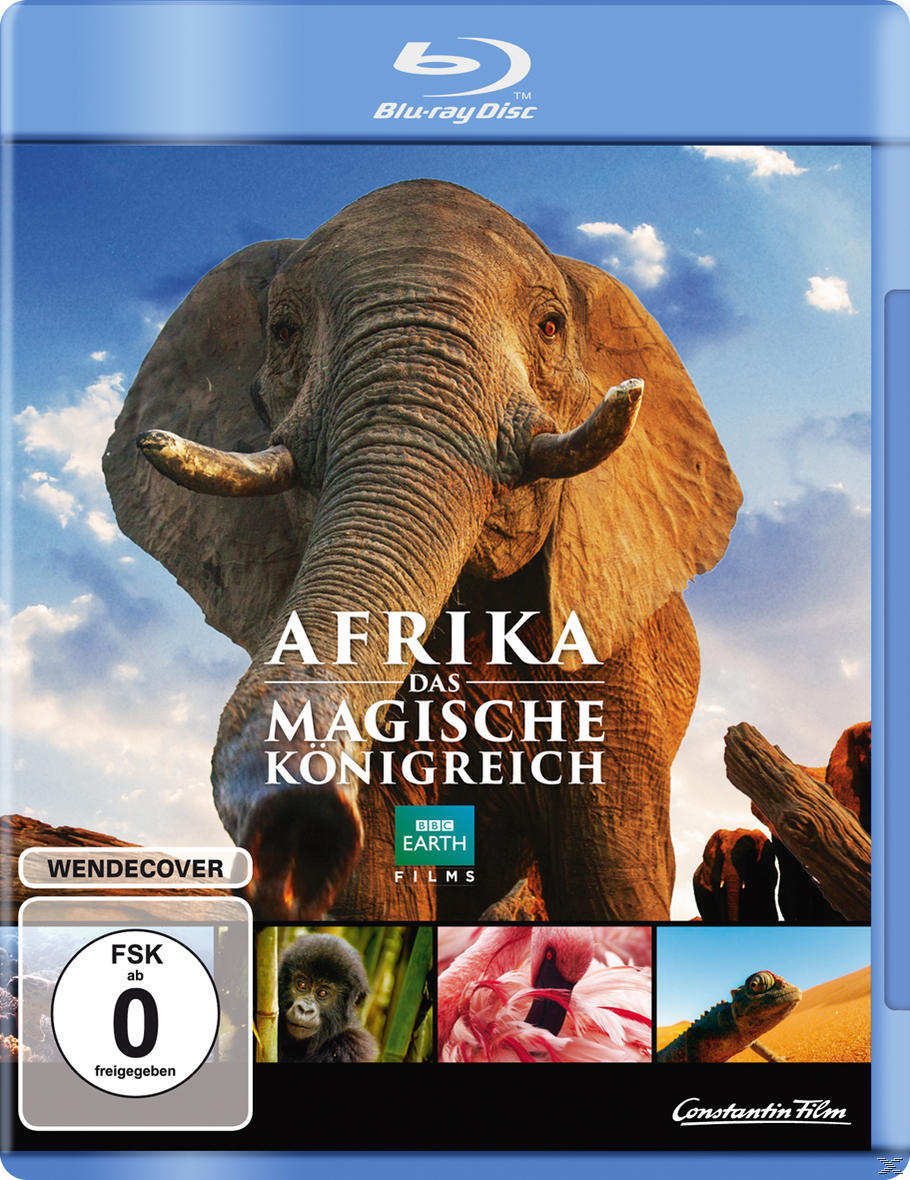 Blu-ray-Cover eines Films mit einem Elefanten, mit anderen kleinen Tierbildern.
