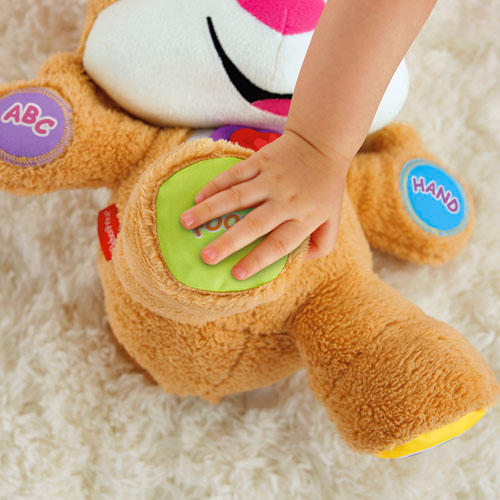 FISHER PRICE Yaşa Göre Gelişim Eğitici Köpekçiğin Kız Kardeşi