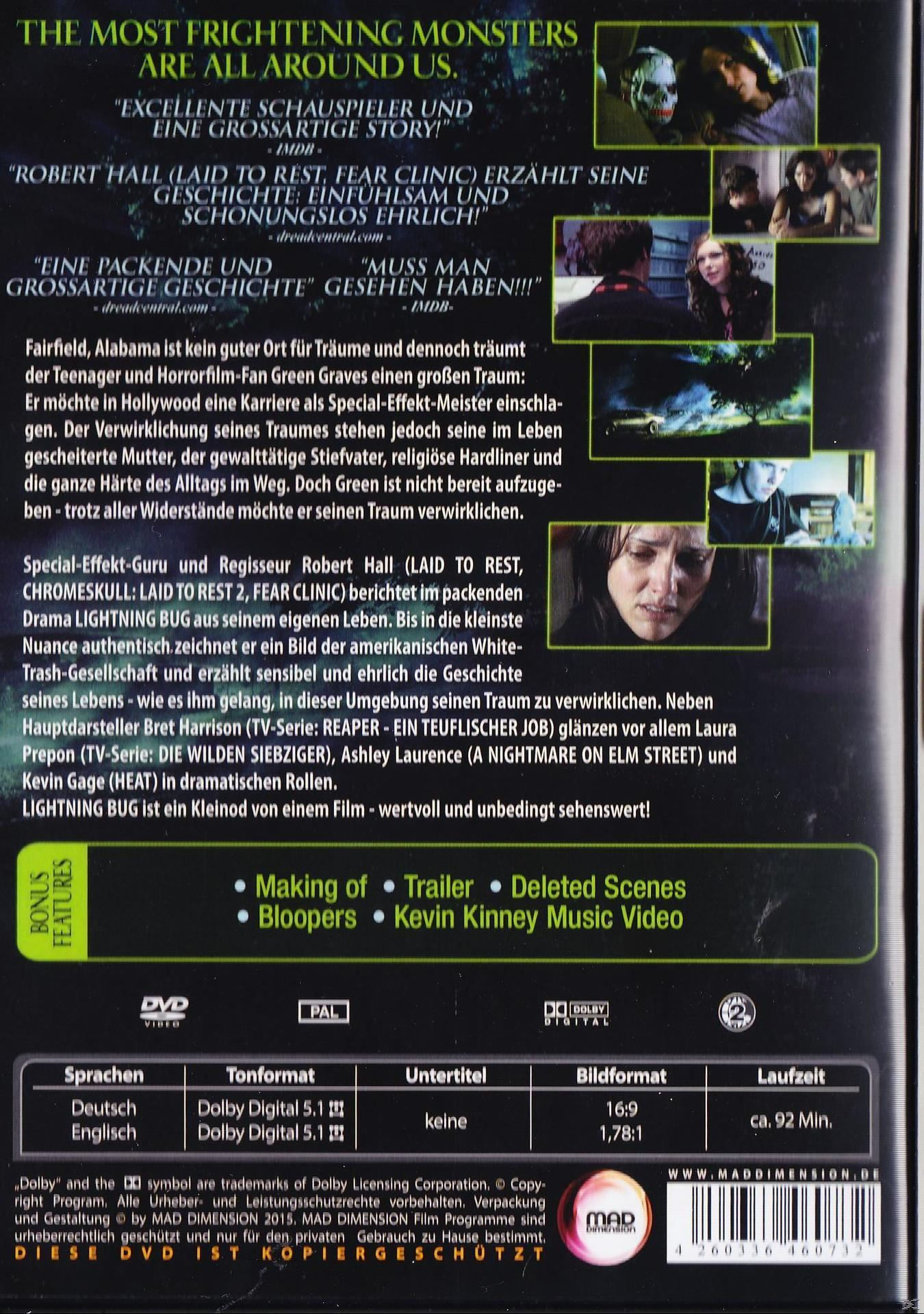Lightning Bug DVD