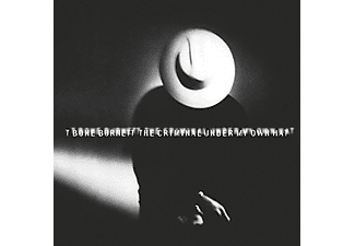 T Bone Burnett - The Criminal Under My Own Hat (CD)