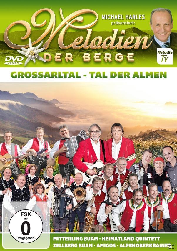 Almen Der - - Der - Melodien Großarltal VARIOUS - (DVD) Berge Tal