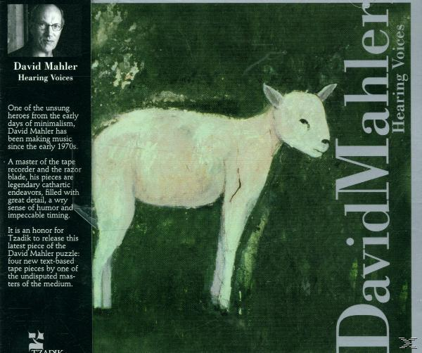David Mahler - Hearing Voices (CD) 
