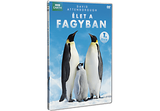 Élet a fagyban 1. (DVD)