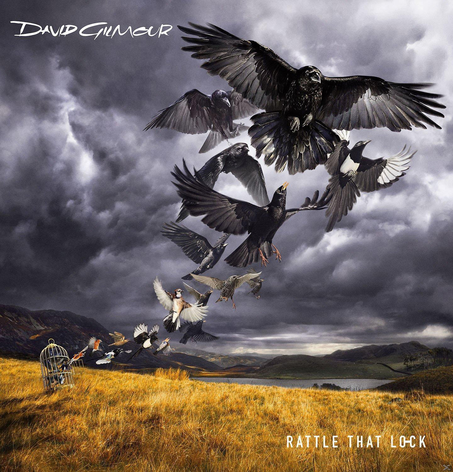 Pochette d'album: Oiseaux s'échappant d'une cage, volant au-dessus d'un champ, ciel sombre.